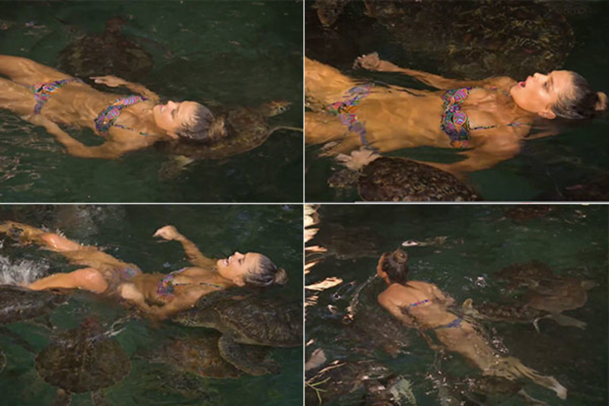 nina-turtles.jpg